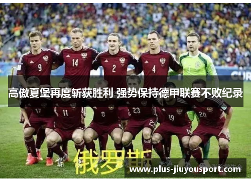 高傲夏堡再度斩获胜利 强势保持德甲联赛不败纪录