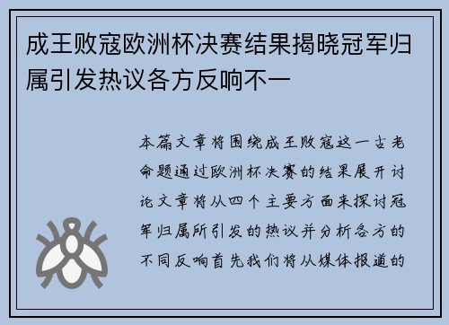 成王败寇欧洲杯决赛结果揭晓冠军归属引发热议各方反响不一