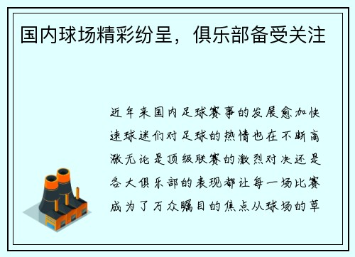 国内球场精彩纷呈，俱乐部备受关注