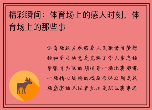 精彩瞬间：体育场上的感人时刻，体育场上的那些事